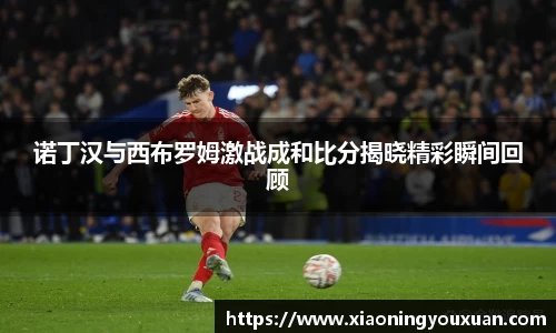 诺丁汉与西布罗姆激战成和比分揭晓精彩瞬间回顾